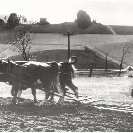 Фермерский дом Sudecka